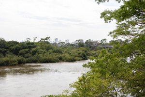 Pescadores profissionais e estabelecimentos comerciais devem declarar estoque pesqueiro at&eacute; a pr&oacute;xima sexta-feira (03)