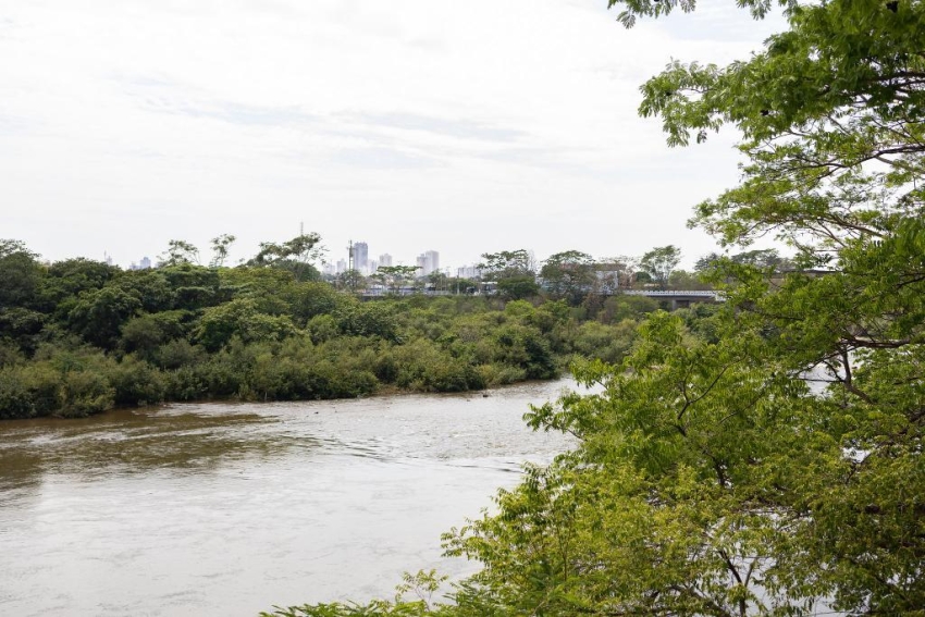 Pescadores profissionais e estabelecimentos comerciais devem declarar estoque pesqueiro at&eacute; a pr&oacute;xima sexta-feira (03)