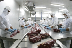 Mato Grosso lidera exporta&ccedil;&otilde;es de carne bovina para a China em 2025