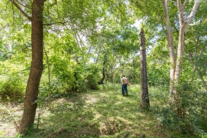 Horto Florestal Tote Garcia recebe o 2&ordm; mutir&atilde;o de limpeza