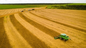 Mato Grosso consolida safra 25/26 com produ&ccedil;&atilde;o recorde e mant&eacute;m lideran&ccedil;a na soja h&aacute; 26 safras