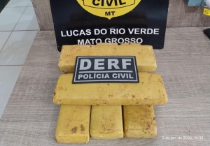 Pol&iacute;cia Civil apreende tabletes de maconha enterrados debaixo de p&eacute; de manga em Lucas do Rio Verde