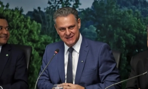 Brasil pode retomar exporta&ccedil;&otilde;es de carne de frango em 28 dias