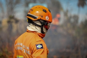 Corpo de Bombeiros combate 13 inc&ecirc;ndios florestais nesta ter&ccedil;a-feira (23)
