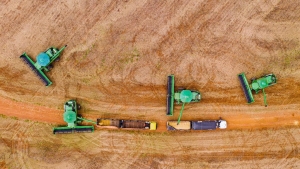 Mato Grosso consolida estrat&eacute;gia de diversifica&ccedil;&atilde;o internacional com abertura de 15 novos mercados