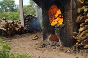 Incinera&ccedil;&atilde;o 