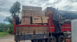 Batalh&atilde;o Ambiental da PM apreende caminh&atilde;o carregado com carga irregular de madeira