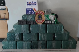 Coca&iacute;na apreendida