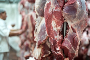 Uni&atilde;o Europeia paga o melhor pre&ccedil;o pela carne de Mato Grosso no mercado internacional