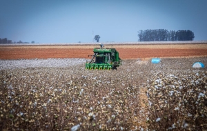 Governo de MT prorroga diferimento do ICMS para fertilizantes e mant&eacute;m benef&iacute;cio at&eacute; dezembro de 2026