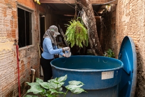 Cuiab&aacute; registra queda nas notifica&ccedil;&otilde;es de Dengue