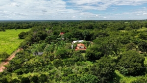 Agrofloresta em Santo Ant&ocirc;nio de Leverger avan&ccedil;a para conquistar selo e fortalecer produ&ccedil;&atilde;o de ovos caipira