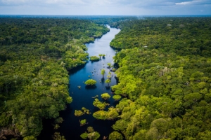 COP30 come&ccedil;a hoje em meio a progressos, obst&aacute;culos e alerta da ONU