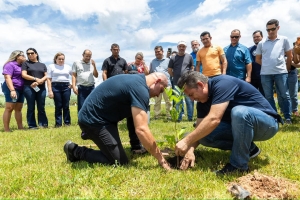 Parceria entre Prefeitura e Governo garante plantio de 10 mil &aacute;rvores em Cuiab&aacute;