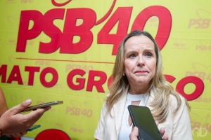 Articuladores defendem m&eacute;dica como vice de Botelho