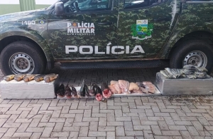 Batalh&atilde;o Ambiental da PM apreende 52 quilos de pescado irregular em V&aacute;rzea Grande