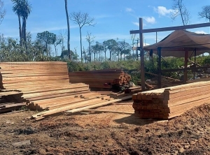 Parceria entre Sema e munic&iacute;pio de Ita&uacute;ba evita inutiliza&ccedil;&atilde;o de bens apreendidos em &aacute;rea de dif&iacute;cil acesso
