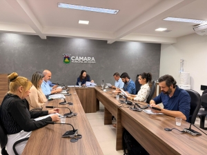 Comiss&atilde;o debate educa&ccedil;&atilde;o inclusiva e constru&ccedil;&atilde;o de pol&iacute;tica municipal para pessoas com defici&ecirc;ncia em Cuiab&aacute;