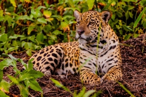 Feir&atilde;o Fit Turismo oferece descontos de at&eacute; 20% em viagens por Mato Grosso