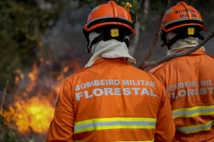 Uso do fogo em &aacute;rea do Pantanal est&aacute; proibido
