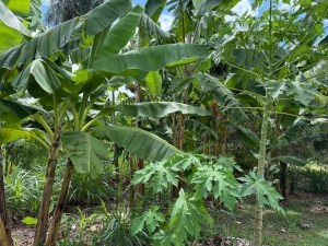 Expedi&ccedil;&atilde;o MT Produtivo mobiliza cooperativas e produtores da agricultura familiar para acesso a recursos p&uacute;blicos