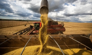 Queda no pre&ccedil;o dos alimentos vai permanecer, diz ministro