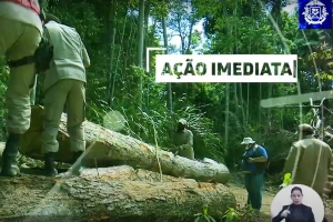 Combate ao Desmatamento - Governo de Mato Grosso