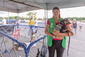 Dia Nacional dos Animais &eacute; celebrado com feira de ado&ccedil;&atilde;o e a&ccedil;&otilde;es de conscientiza&ccedil;&atilde;o em Cuiab&aacute;