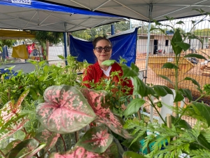 Produtora de Cuiab&aacute; supera c&acirc;ncer e transforma cultivo de plantas em neg&oacute;cio com apoio do Governo de MT
