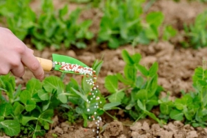Governo do Estado e UFMT firmam parceria para estudo sobre a cadeia de fertilizantes em MT