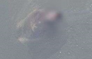 Funcion&aacute;rios do DAE encontram corpo de homem em capta&ccedil;&atilde;o de &aacute;gua