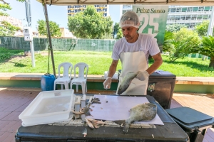 Peixe a R$ 25 atrai consumidores e segue at&eacute; sexta-feira em Cuiab&aacute;