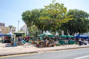 Expositores comemoram sucesso de vendas na Feira da Agricultura Familiar