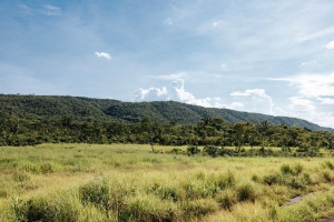 Sema aprova mais de mil projetos para recupera&ccedil;&atilde;o de 50 mil hectares