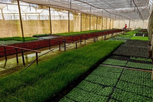 Seaf e Banco Mundial promovem miss&atilde;o t&eacute;cnica para lan&ccedil;amento do Programa MT Produtivo &ndash; Desenvolvimento e Sustentabilidade