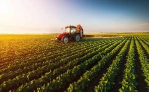 Agro garante lideran&ccedil;a de Mato Grosso na balan&ccedil;a comercial do pa&iacute;s